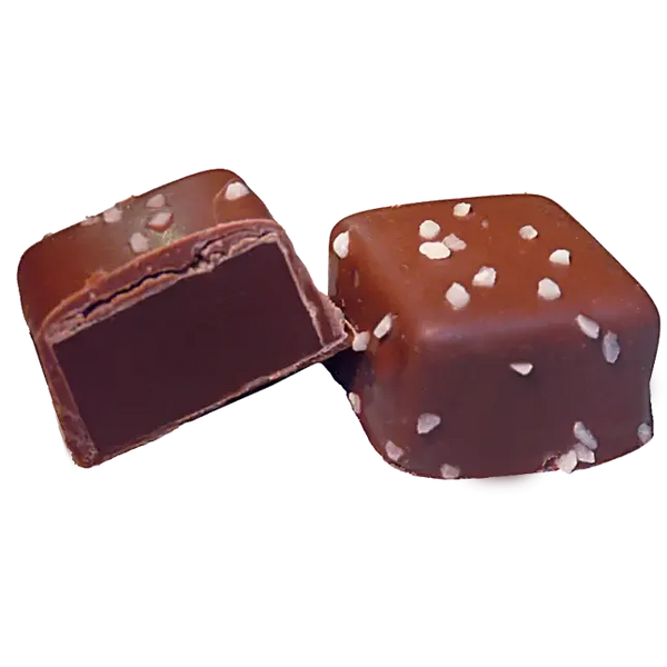Chocolate Caramels with Sea Salt (5 count)