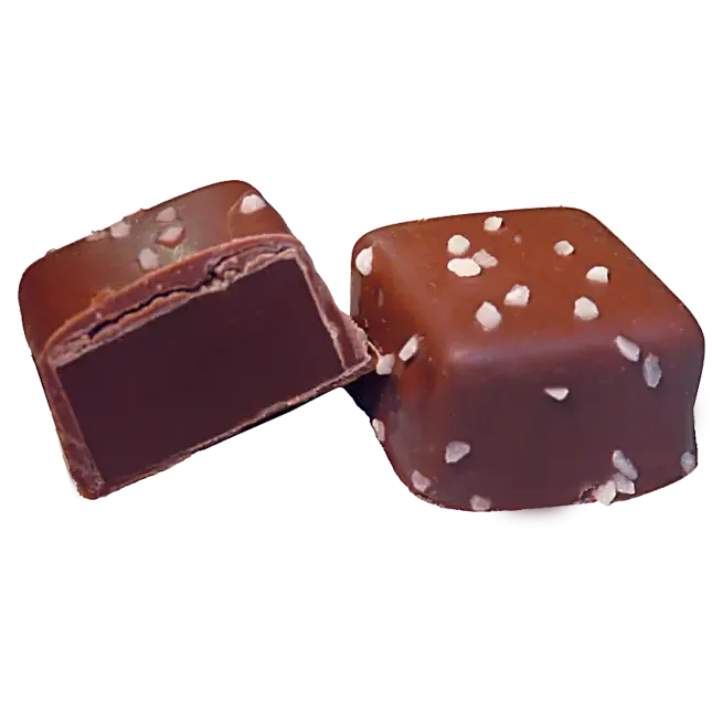 Chocolate Caramels with Sea Salt Gift Box (8 Count)