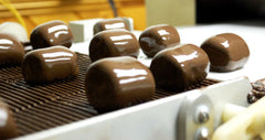 Chocolate Covered Marshmallows (5 count)
