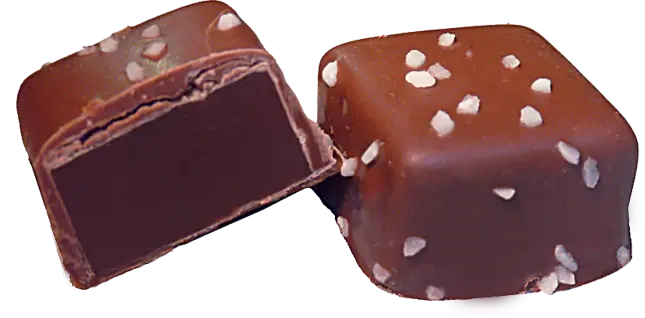 Chocolate Caramels with Sea Salt (5 count)