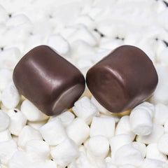 Chocolate Covered Marshmallows (5 count)